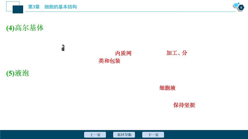 第3章第2節(jié)　第1課時　細胞器之間的分工--（新教材）2021年人教版（2019）高中生物必修1課件第7頁