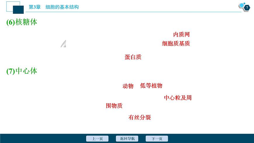 第3章第2節(jié)　第1課時　細胞器之間的分工--（新教材）2021年人教版（2019）高中生物必修1課件第8頁