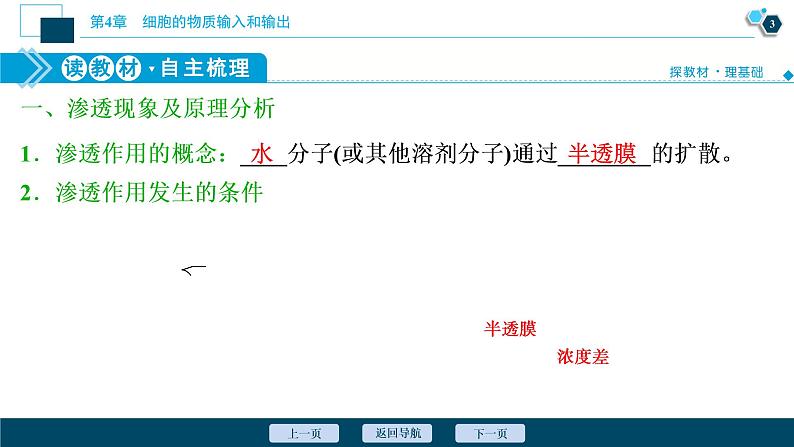 第4章第1节 被动运输--(新教材)2021年人教版(2019)高中生物必修1课件第4页