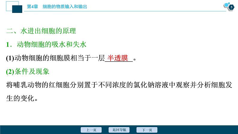 第4章第1节 被动运输--(新教材)2021年人教版(2019)高中生物必修1课件第6页
