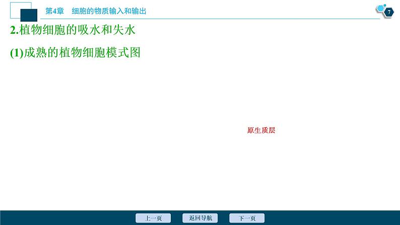 第4章第1节 被动运输--(新教材)2021年人教版(2019)高中生物必修1课件第8页