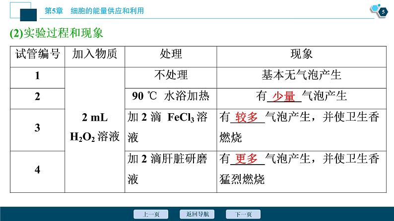 酶的作用和本质PPT课件免费下载06