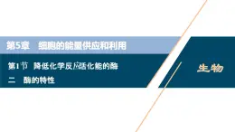 第5章第1节　二　酶的特性--（新教材）2021年人教版（2019）高中生物必修1课件