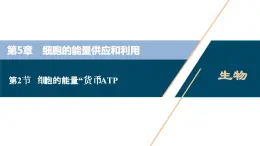 第5章第2节　细胞的能量“货币”ATP--（新教材）2021年人教版（2019）高中生物必修1课件