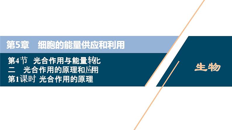 第5章第4节 二 第1课时 光合作用的原理--(新教材)2021年人教版(2019)高中生物必修1课件01