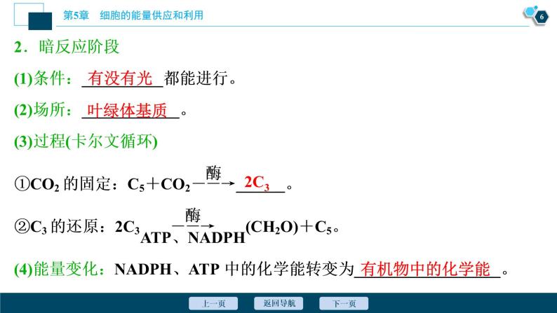 第5章第4节　二　第1课时　光合作用的原理--（新教材）2021年人教版（2019）高中生物必修1课件07