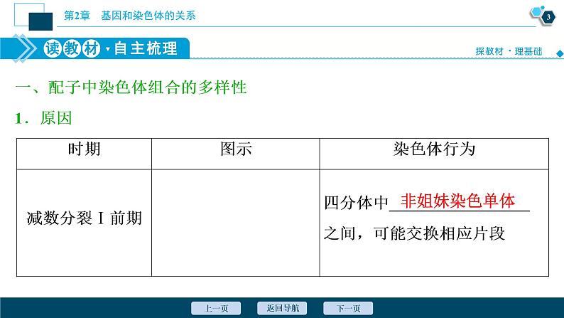 第2章第1节 二 受精作用--(新教材)2021年人教版(2019)高中生物必修2课件04