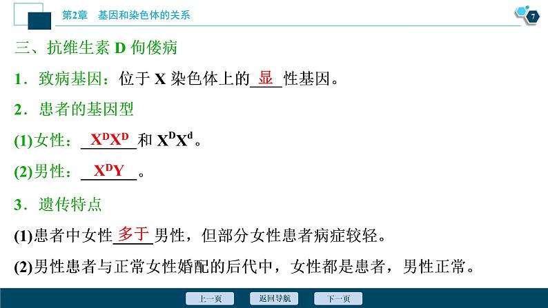 第2章第3节 伴性遗传(Ⅰ)--(新教材)2021年人教版(2019)高中生物必修2课件08
