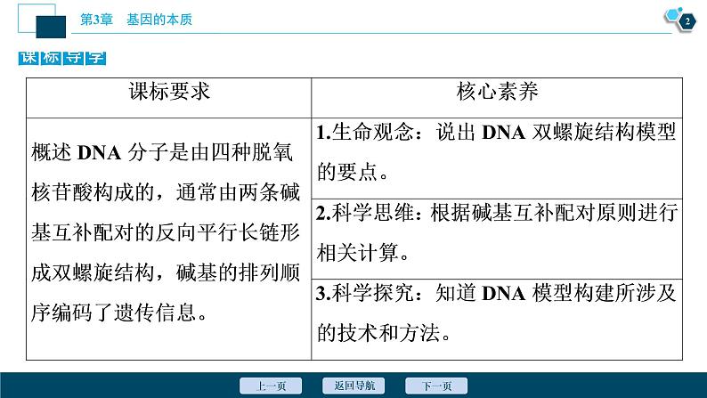 第3章第2节 DNA的结构--(新教材)2021年人教版(2019)高中生物必修2课件03