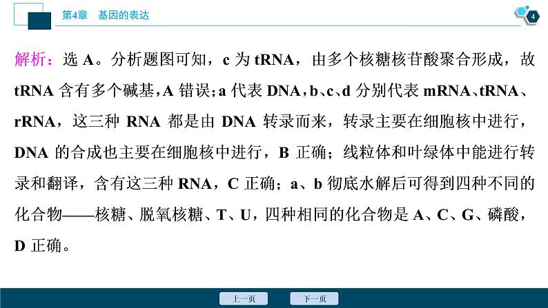 第4章章末综合检测(四)--(新教材)2021年人教版(2019)高中生物必修2课件第5页