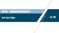 高中生物第5章 基因突變及其他變異本章綜合與測試教案配套課件ppt