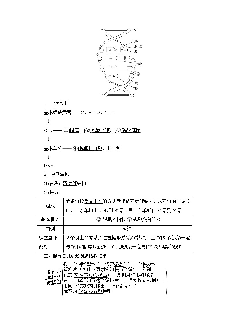 第3章第2节 DNA的结构--(新教材)2021年人教版(2019)高中生物必修2同步学案+同步练习第2页