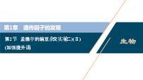 人教版 (2019)必修2《遺傳與進(jìn)化》第2節(jié) 孟德爾的豌豆雜交實驗（二）示范課課件ppt