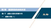 2020-2021學(xué)年一 減數(shù)分裂課文配套ppt課件