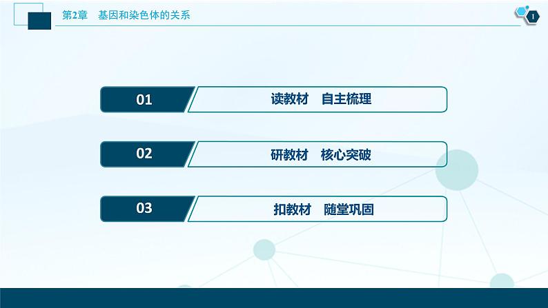 第2章第1节 一 减数分裂(Ⅰ)--(新教材)2021年人教版(2019)高中生物必修2课件02