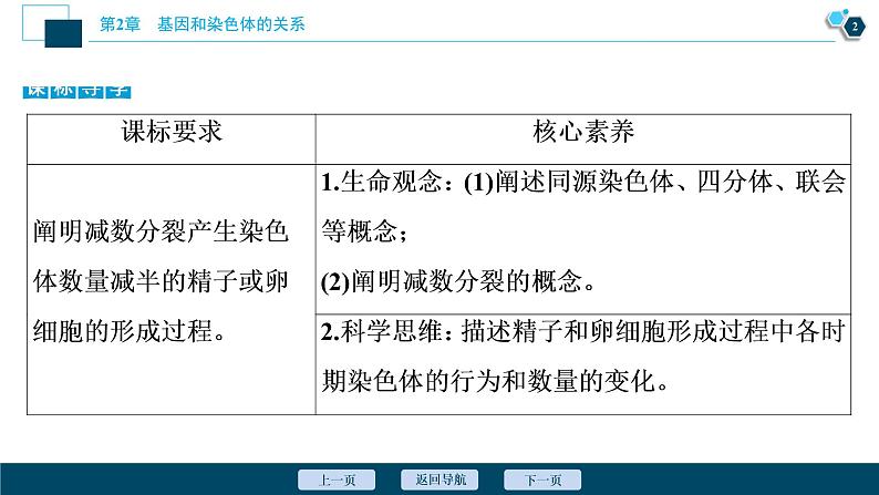 第2章第1节 一 减数分裂(Ⅰ)--(新教材)2021年人教版(2019)高中生物必修2课件03