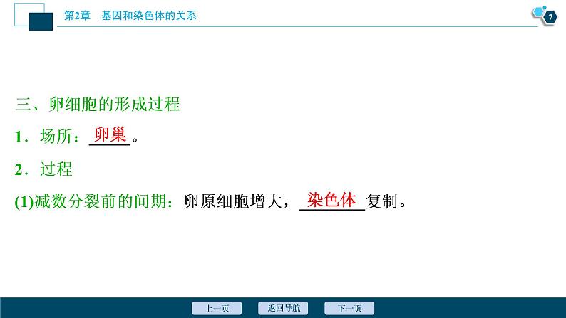 第2章第1节 一 减数分裂(Ⅰ)--(新教材)2021年人教版(2019)高中生物必修2课件08