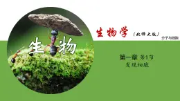 1.1 发现细胞--2021-2022学年新教材北师大版高中生物必修1课件+导学案+教学设计+练习