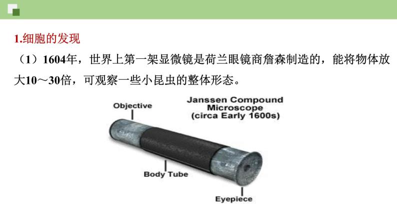 1.1 发现细胞--2021-2022学年新教材北师大版高中生物必修1课件+导学案+教学设计+练习06