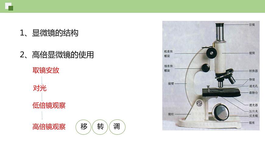 1.2 細(xì)胞的多樣性和統(tǒng)一性（課件）--2021-2022學(xué)年新教材北師大版高中生物必修1第4頁