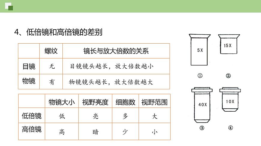 1.2 細(xì)胞的多樣性和統(tǒng)一性（課件）--2021-2022學(xué)年新教材北師大版高中生物必修1第6頁