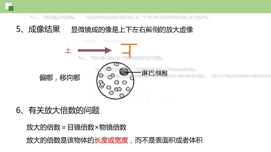 1.2 細(xì)胞的多樣性和統(tǒng)一性（課件）--2021-2022學(xué)年新教材北師大版高中生物必修1第7頁