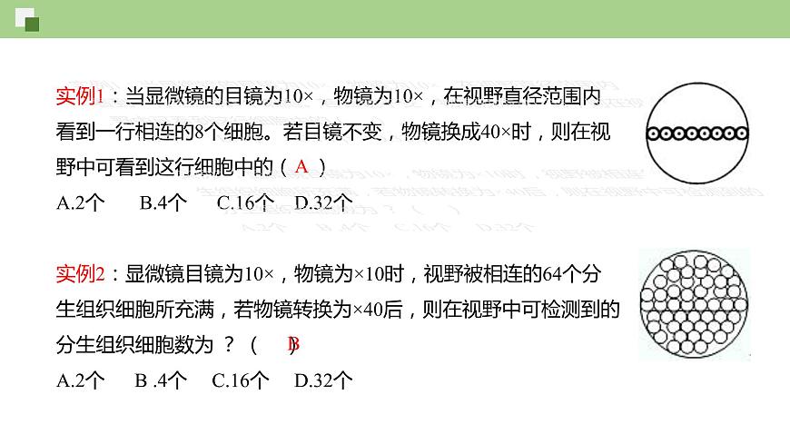 1.2 細(xì)胞的多樣性和統(tǒng)一性（課件）--2021-2022學(xué)年新教材北師大版高中生物必修1第8頁