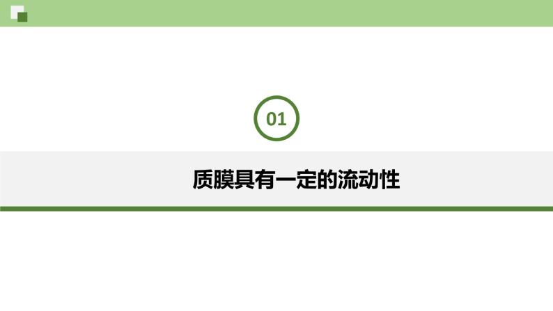 2.1.1 质膜的结构和功能--2021-2022学年新教材北师大版高中生物必修1课件+导学案+教学设计+练习03