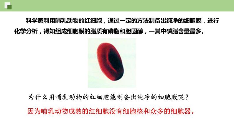 2.1.1 质膜的结构和功能--2021-2022学年新教材北师大版高中生物必修1课件+导学案+教学设计+练习05