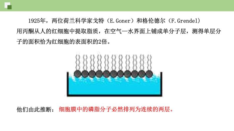 2.1.1 质膜的结构和功能--2021-2022学年新教材北师大版高中生物必修1课件+导学案+教学设计+练习08