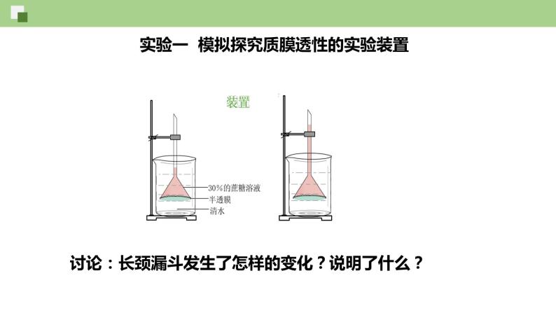 2.1.2 物质进出细胞的方式--2021-2022学年新教材北师大版高中生物必修1课件+导学案+教学设计+练习04