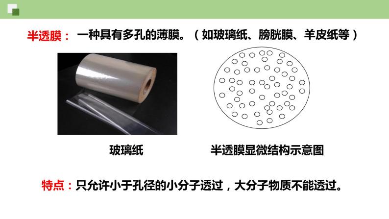 2.1.2 物质进出细胞的方式--2021-2022学年新教材北师大版高中生物必修1课件+导学案+教学设计+练习05