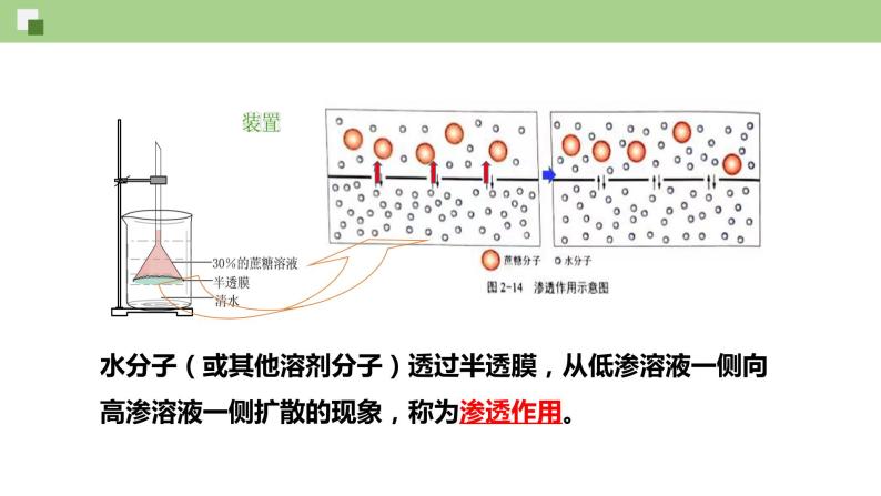 2.1.2 物质进出细胞的方式--2021-2022学年新教材北师大版高中生物必修1课件+导学案+教学设计+练习06