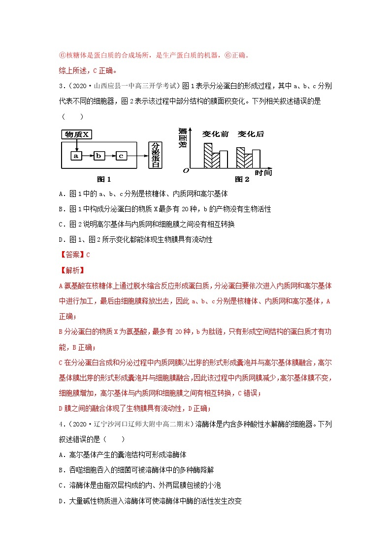 2.2 细胞质--2021-2022学年新教材北师大版高中生物必修1课件+导学案+教学设计+练习02