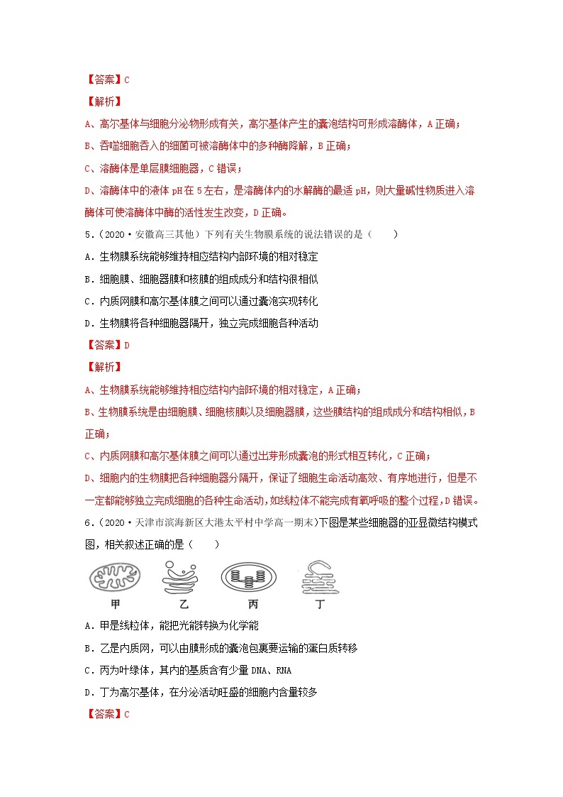 2.2 细胞质--2021-2022学年新教材北师大版高中生物必修1课件+导学案+教学设计+练习03