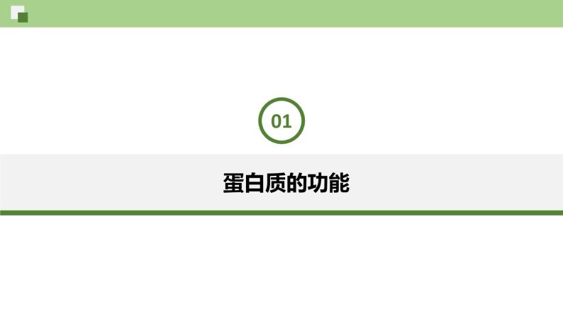 3.3 蛋白质--2021-2022学年新教材北师大版高中生物必修1课件+导学案+教学设计+练习05