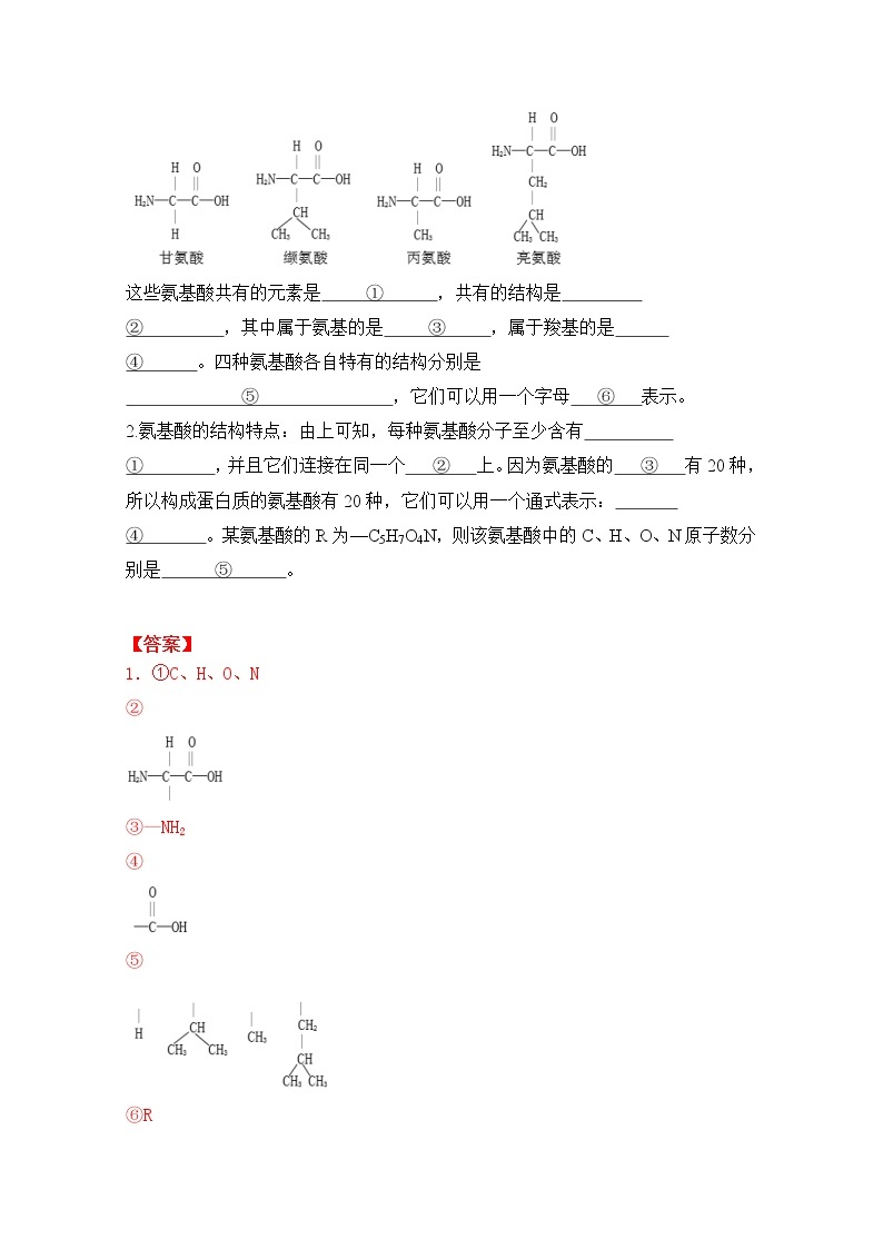 3.3 蛋白质--2021-2022学年新教材北师大版高中生物必修1课件+导学案+教学设计+练习03