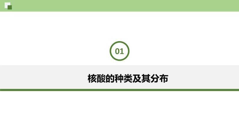 3.4 核酸--2021-2022学年新教材北师大版高中生物必修1课件+导学案+教学设计+练习05