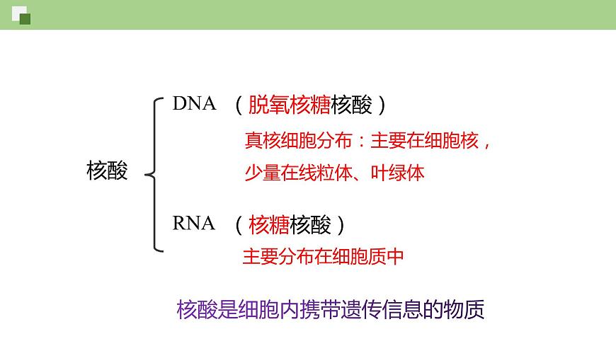 3.4 核酸（課件）--2021-2022學(xué)年新教材北師大版高中生物必修1第6頁(yè)