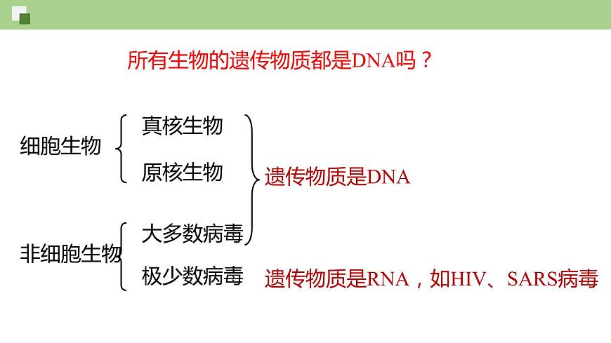 3.4 核酸（課件）--2021-2022學(xué)年新教材北師大版高中生物必修1第7頁(yè)