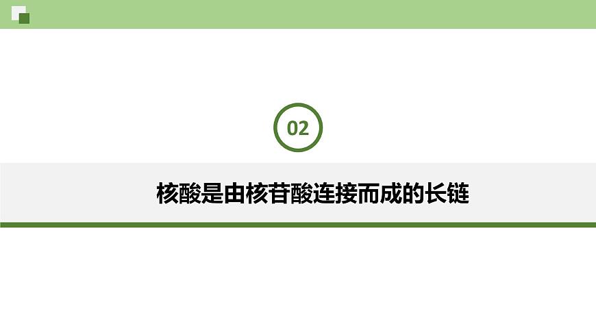 3.4 核酸（課件）--2021-2022學(xué)年新教材北師大版高中生物必修1第8頁(yè)