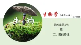 4.1.2 酶的特性--2021-2022学年新教材北师大版高中生物必修1课件+导学案+教学设计+练习