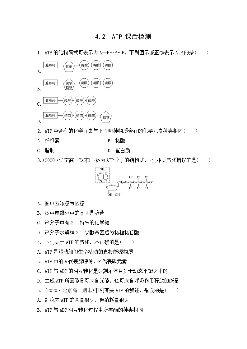 4.2 ATP--2021-2022学年新教材北师大版高中生物必修1课件+导学案+教学设计+练习01