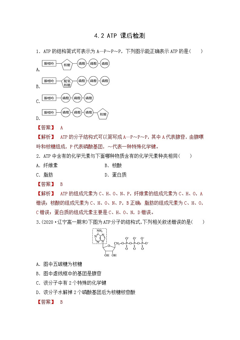 4.2 ATP--2021-2022学年新教材北师大版高中生物必修1课件+导学案+教学设计+练习01