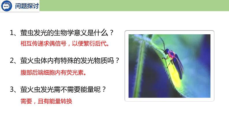 4.2 ATP--2021-2022学年新教材北师大版高中生物必修1课件+导学案+教学设计+练习03
