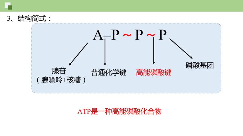 4.2 ATP--2021-2022学年新教材北师大版高中生物必修1课件+导学案+教学设计+练习06