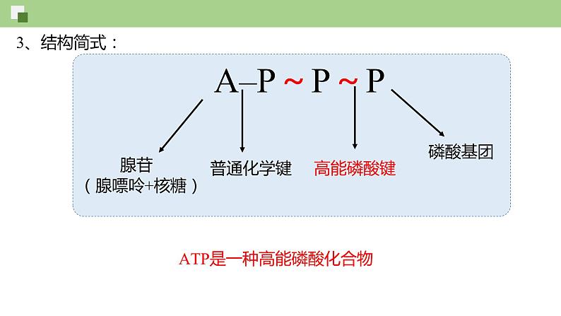 4.2 ATP--2021-2022学年新教材北师大版高中生物必修1课件+导学案+教学设计+练习06