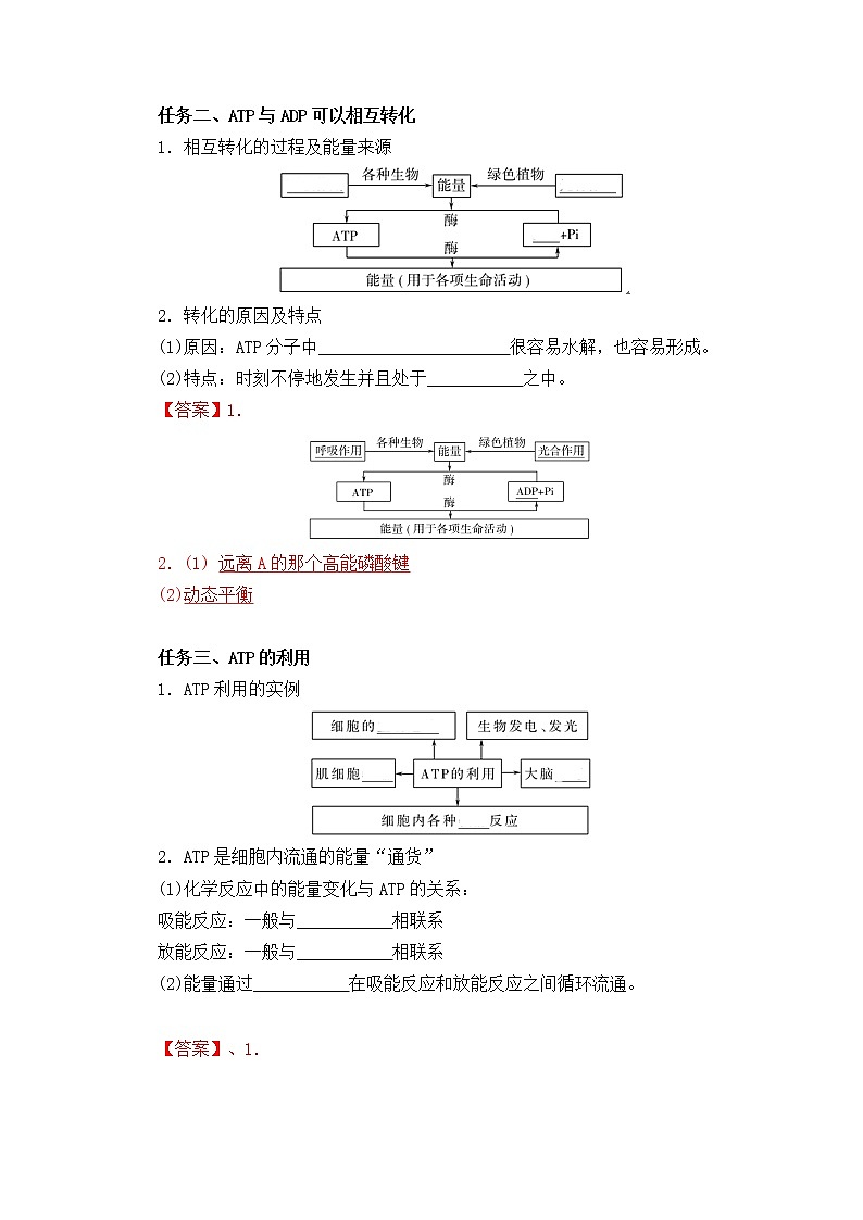 4.2 ATP--2021-2022学年新教材北师大版高中生物必修1课件+导学案+教学设计+练习02