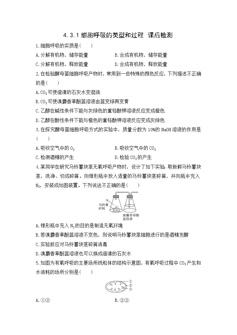 4.3.1 细胞呼吸的类型和过程--2021-2022学年新教材北师大版高中生物必修1课件+导学案+教学设计+练习01