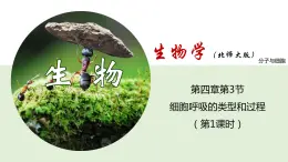 4.3.1 細(xì)胞呼吸的類型和過程--2021-2022學(xué)年新教材北師大版高中生物必修1課件+導(dǎo)學(xué)案+教學(xué)設(shè)計+練習(xí)